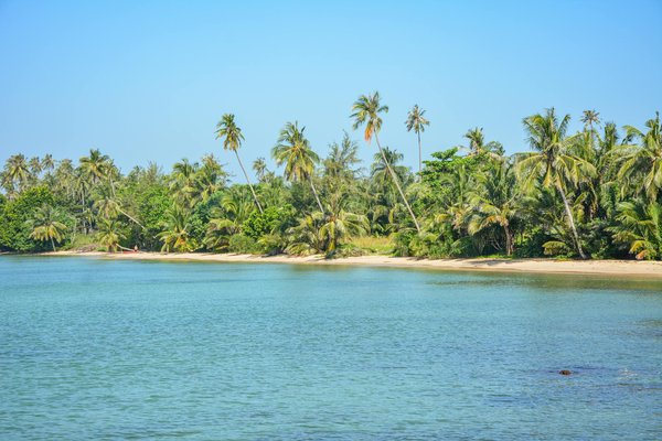 Quels sont les secrets pour une randonnée réussie dans le parc national de Snowdonia, Pays de Galles : équipements et itinéraires ?